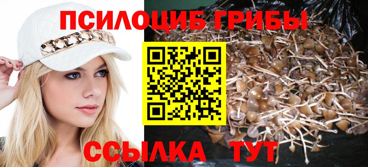 Псилоцибиновые грибы MAGIC MUSHROOMS Кыштым