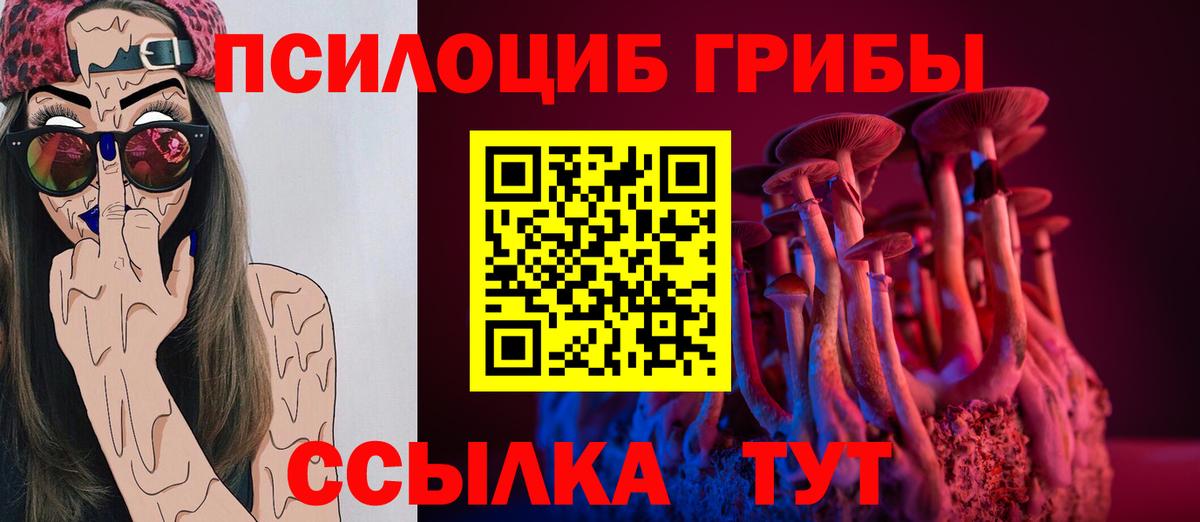 Псилоцибиновые грибы прущие грибы  Вход с VPN  Псилоцибиновые грибы ЛСД  Кыштым 